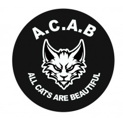 All Cats Are Beautiful