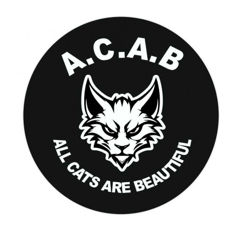 All Cats Are Beautiful