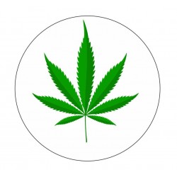 Canabis