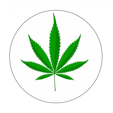 Canabis