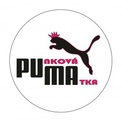 Punková matka