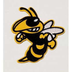 Vosa