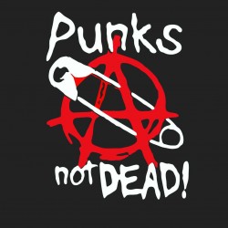 Punks not Dead 3
