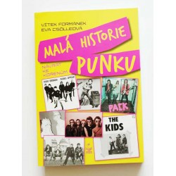 Malá historie punku - návrat ke kořenům