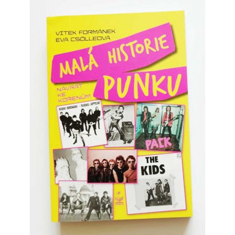 Malá historie punku - návrat ke kořenům