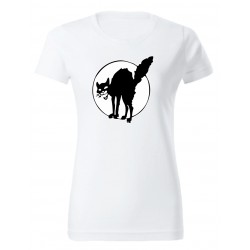 Kočka