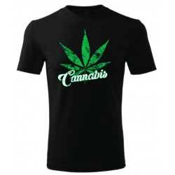Cannabis