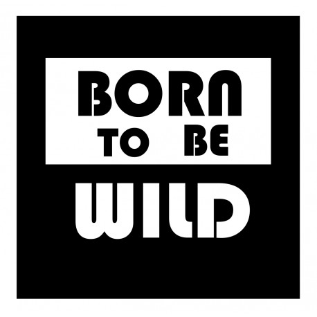 Born to be Wild