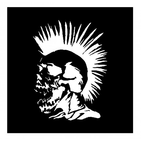 Punk lebka