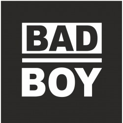 Bad Boy