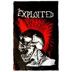 VLAJKA Exploited