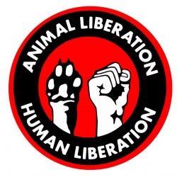 Samolepka Animal Liberation