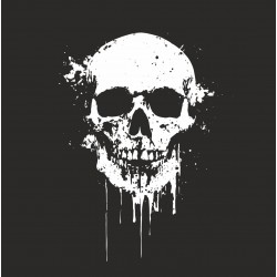 Nášivka  Skull