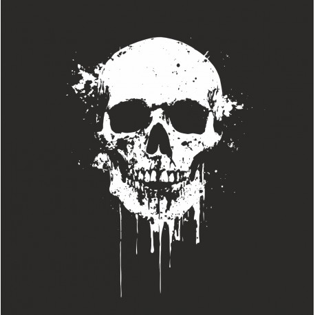 Nášivka  Skull
