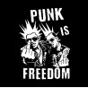 Nášivka  Punk Is Freedom